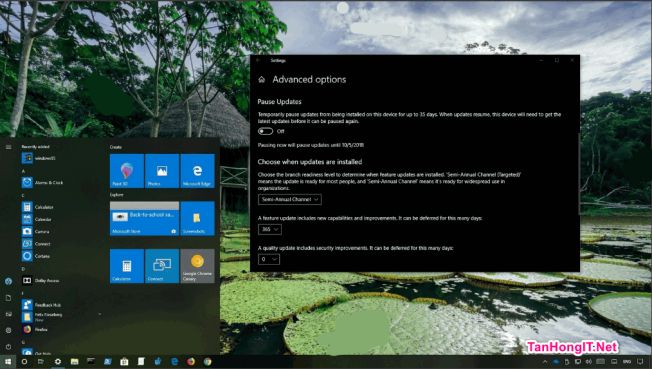 windows 10 lite version 1809