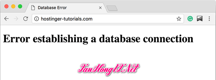 fix error establishing a database connection cho website
