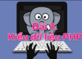 cac kieu du lieu php