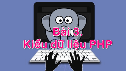 cac kieu du lieu php