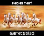 Phong Thủy Đánh Thức Sự Giàu Có