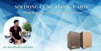 Sôi động cùng trống Cajon